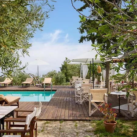 Apartment Kopana Pefkochori