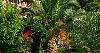 Kopana Apartment Pefkochori