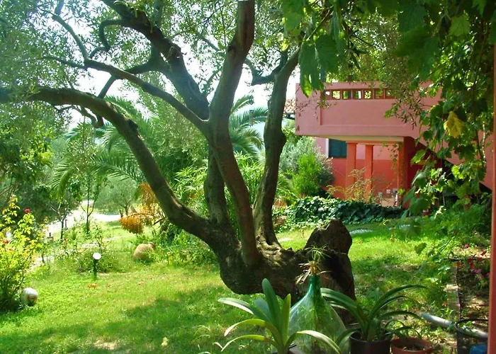 考帕纳度假村 * 佩科霍里